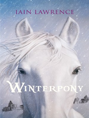 cover image of Winterpony